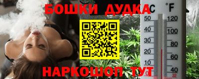 МДПВ Рузаевка